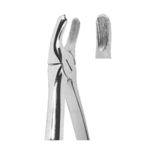 Extracting Forceps English Pattern