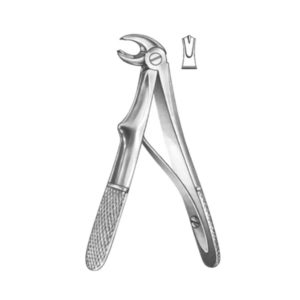 Extracting Forceps English Pattern