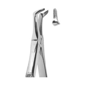 Extracting Forceps English Pattern