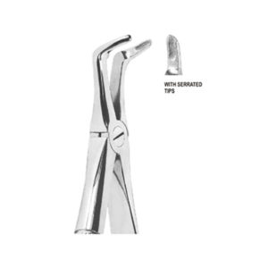 Extracting Forceps English Pattern