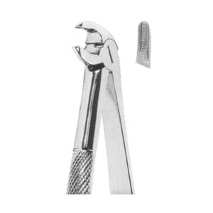 Extracting Forceps English Pattern